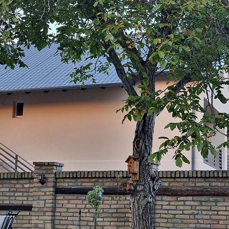 Sobe Ava Apartment Palic Exterior photo